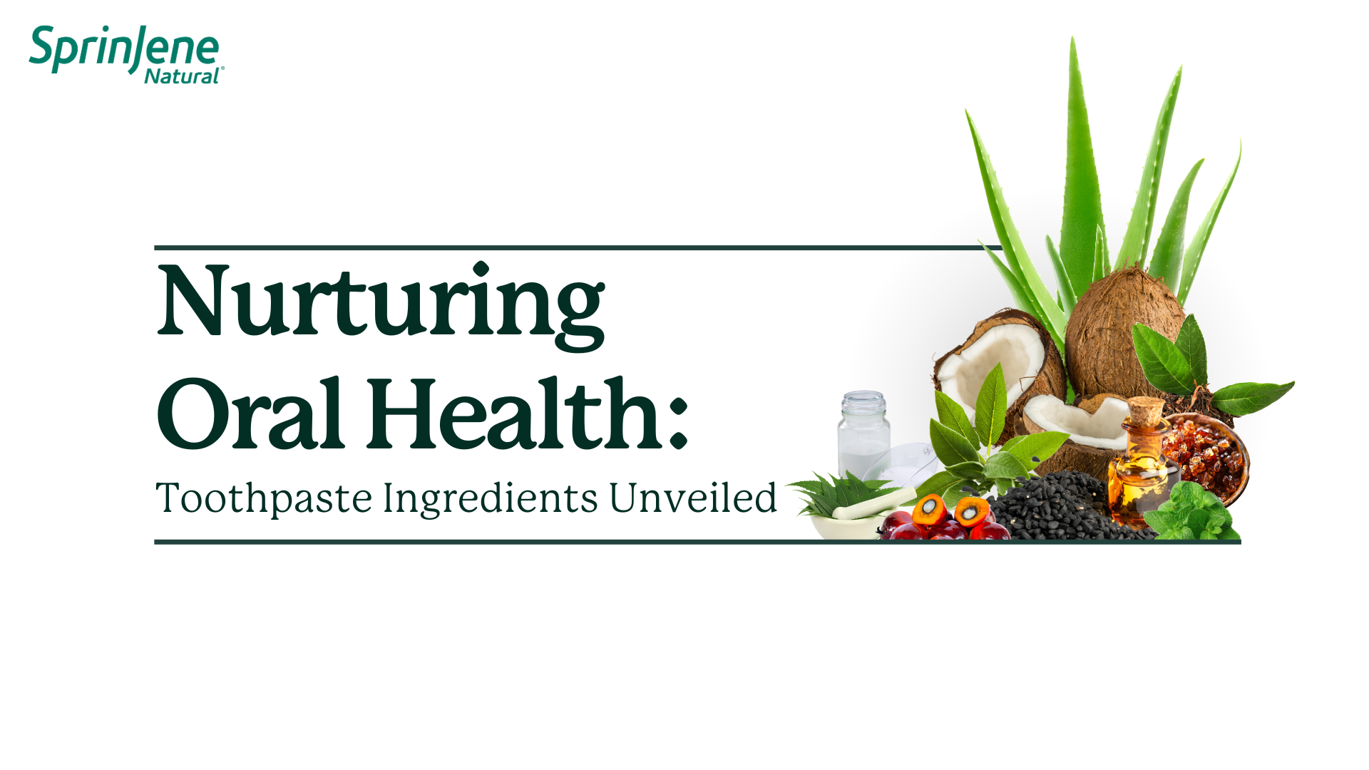 Nurturing Oral Health Toothpaste Ingredients Unveiled Sprinjene