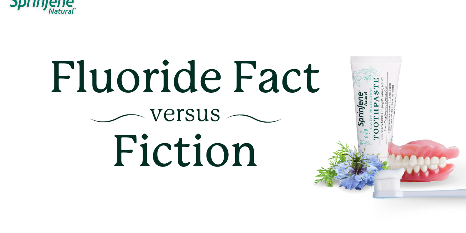 Fluoride Fact versus Fiction: Explored