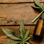 Zelira, SprinJene partner to launch cannabinoid-based oral care products