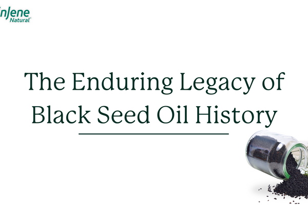 The Enduring Legacy of Black Seed Oil