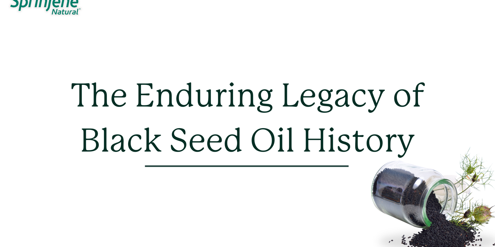 The Enduring Legacy of Black Seed Oil - SprinJene
