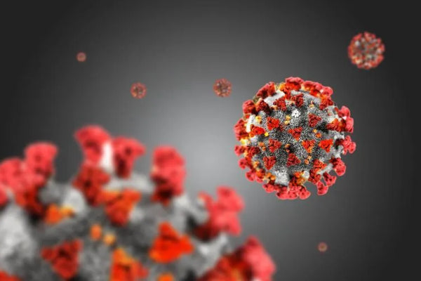 How to take care of oral hygiene and Prevent Virus Infection during Coronavirus outbreak? - SprinJene