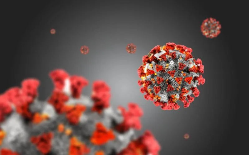 How to take care of oral hygiene and Prevent Virus Infection during Coronavirus outbreak? - SprinJene