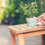 Smoking and Gum Disease - SprinJene