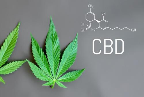 CBD Toothpaste is Coming to Nationwide Shelves - SprinJene