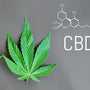 CBD Toothpaste is Coming to Nationwide Shelves - SprinJene