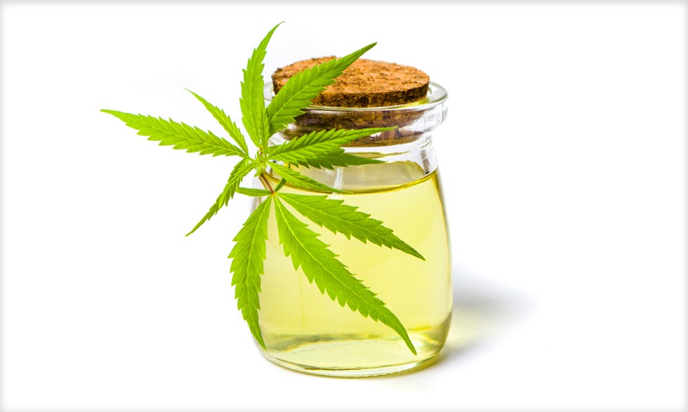 Cannabis stock report: Mixed day for pot stocks as farmers out west struggle over land issues - SprinJene