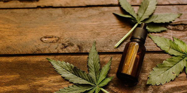 Zelira, SprinJene partner to launch cannabinoid-based oral care products - SprinJene