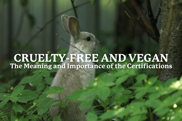 Cruelty-Free vs Vegan: Common Misconceptions and What They Really Mean