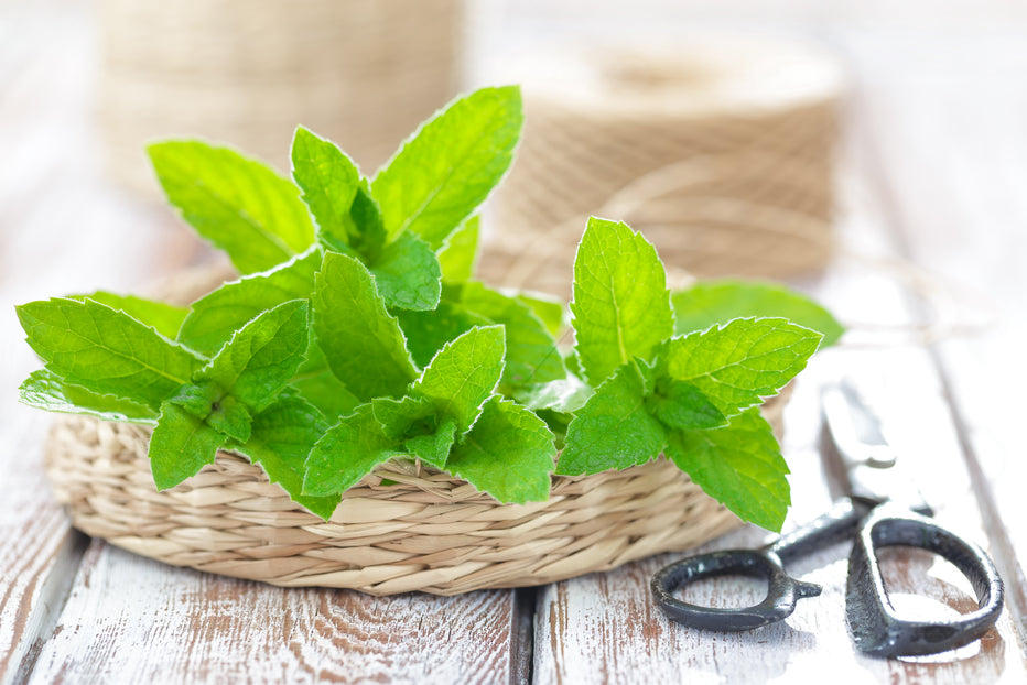 Toothpaste Flavor Allergies: What You Need to Know - SprinJene