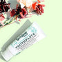Xylitol Benefits in Natural Toothpaste for Oral Health