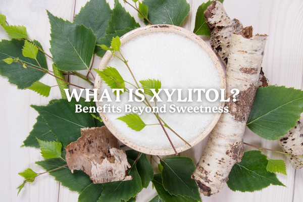 what is xylitol benefits beyond sweetener health benefits of xylitol in toothpaste close up image of birch tree xylitol