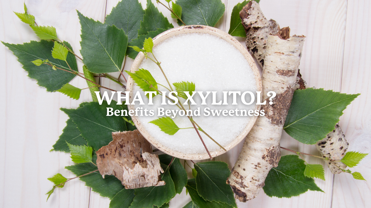 what is xylitol benefits beyond sweetener health benefits of xylitol in toothpaste close up image of birch tree xylitol