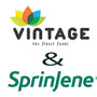 SPRINJENE TOOTHPASTES NOW AVAILABLE AT VINTAGE FOOD DISTRIBUTION CHANNELS - SprinJene