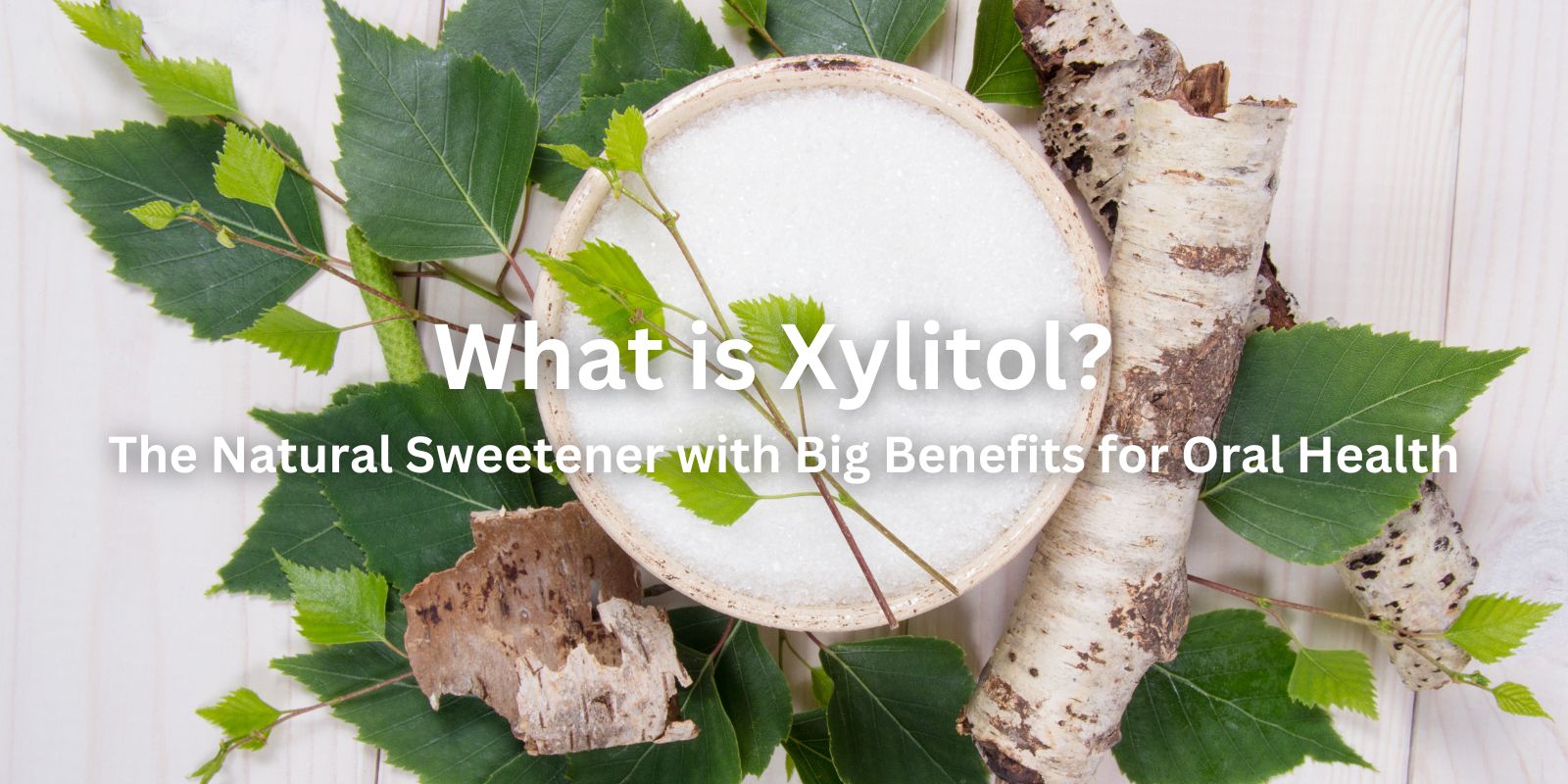 What is Xylitol? The Natural Sweetener with Big Benefits for Oral Health. Background features a bowl of xylitol with some branches of birch trees and birch tree leaves