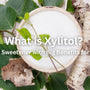 What is Xylitol? The Natural Sweetener with Big Benefits for Oral Health. Background features a bowl of xylitol with some branches of birch trees and birch tree leaves