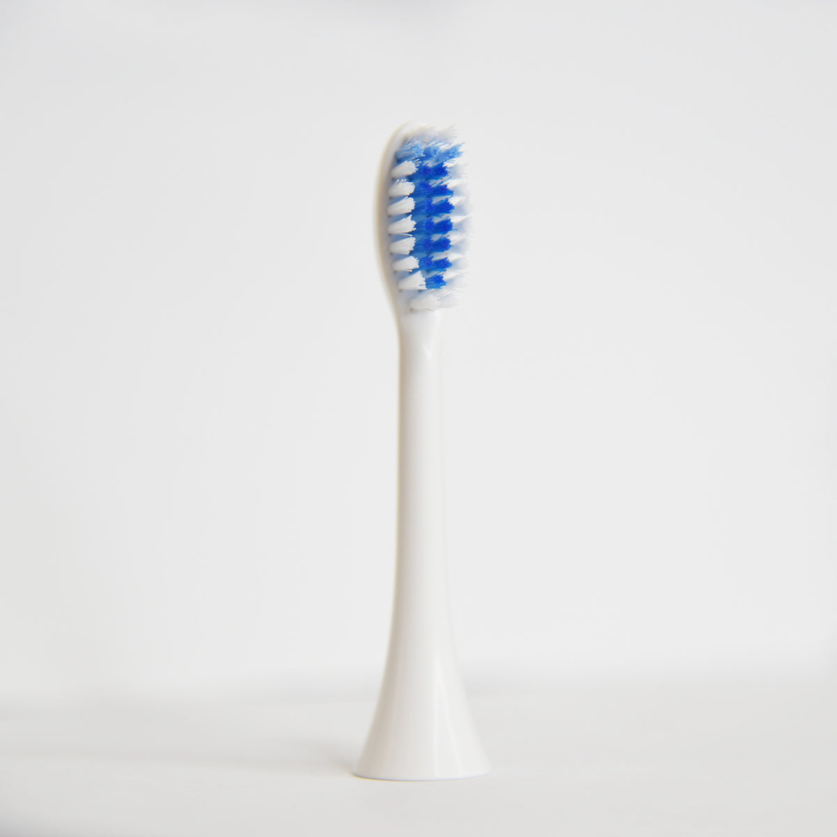 Toothbrush Replacement Head